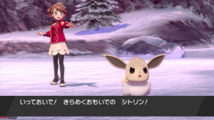 「きらめく思い出の」イーブイ！！