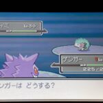 親子2代で受け継いだリボン色シェイミ!