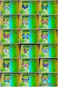 ウルボ入り18種類色違いビビヨンのリボンコンプ！