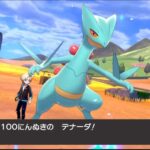 三世代産色違いリボンコンプジュカイン!