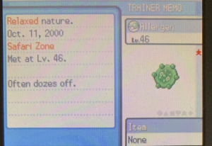 海外産サファリボール入りのドーミラー！！