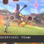 「カロスチャンピオン」の二つ名を持つ色違いデデンネ!!