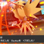 FRA産 Pスクラップサンダーリボンコンプ！！